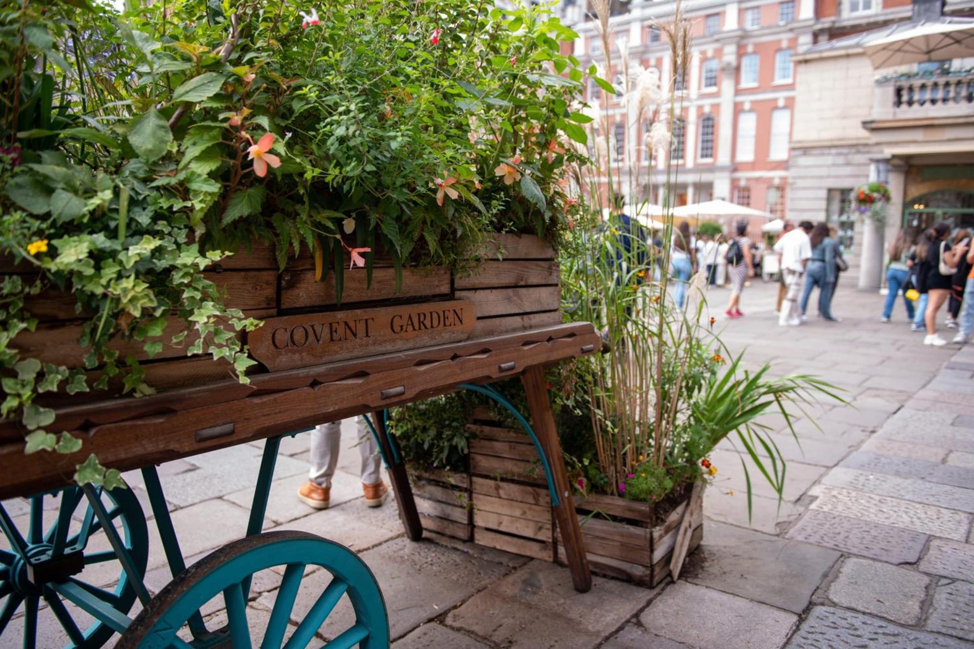 Lovely Charing Cross Apartment Londra Exterior foto